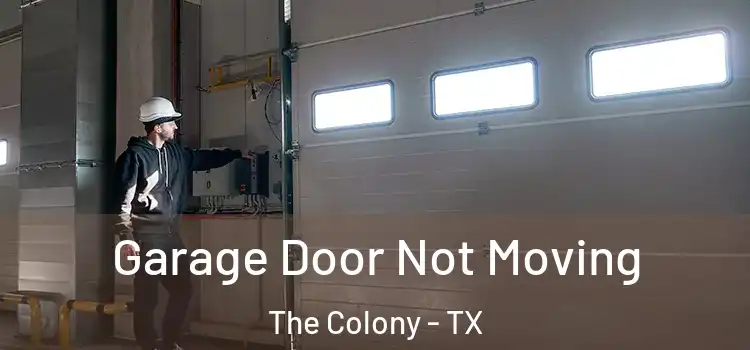  Garage Door Not Moving The Colony - TX