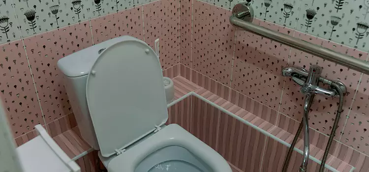 Meeting Diverse Needs With Accessible Restroom Solutions in The Colony, TX
